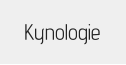 Kynologie