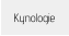 Kynologie